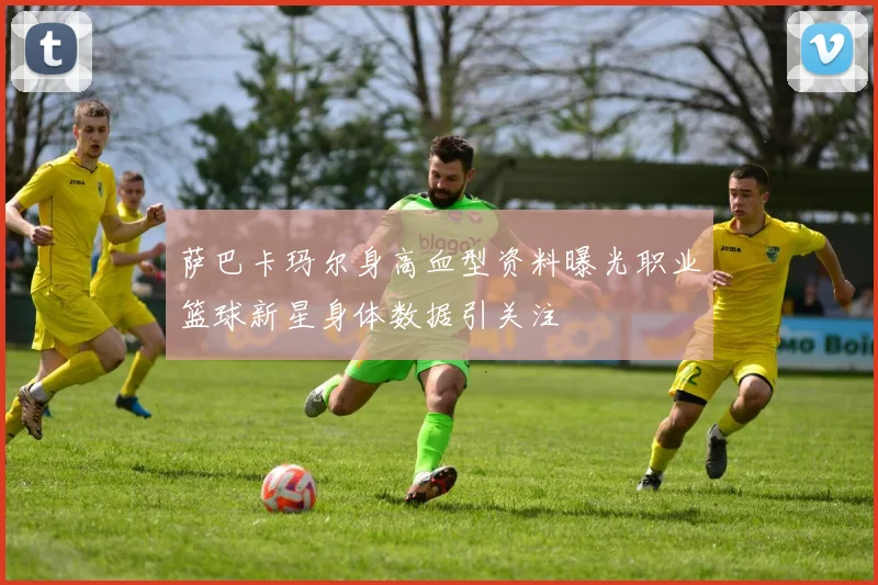 萨巴卡玛尔身高血型资料曝光职业篮球新星身体数据引关注