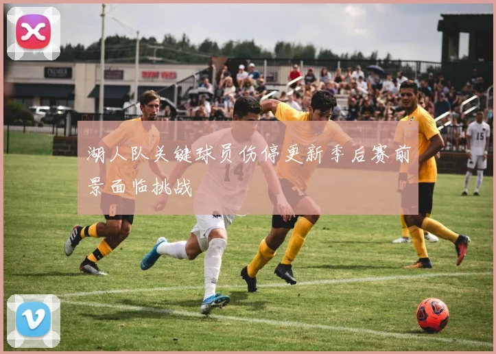 湖人队关键球员伤停更新季后赛前景面临挑战
